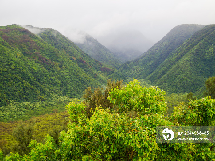 View into a misty or foggy Pololu Valley with low hanging clouds over evergreen rainforest covered mountains on Big Island, Hawaii