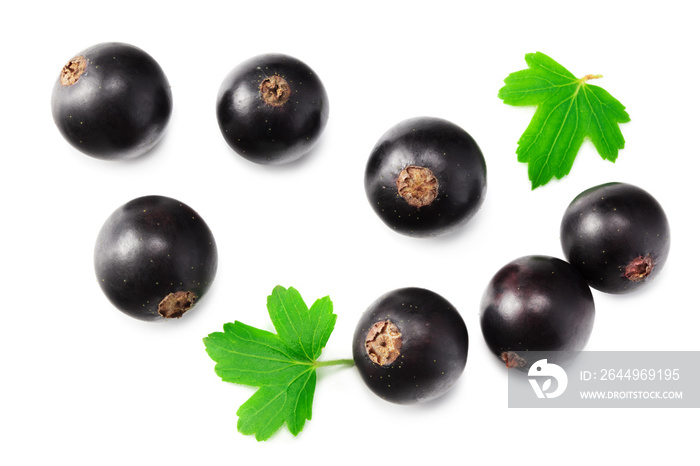 black currant with green leaf isolated on white background. top view