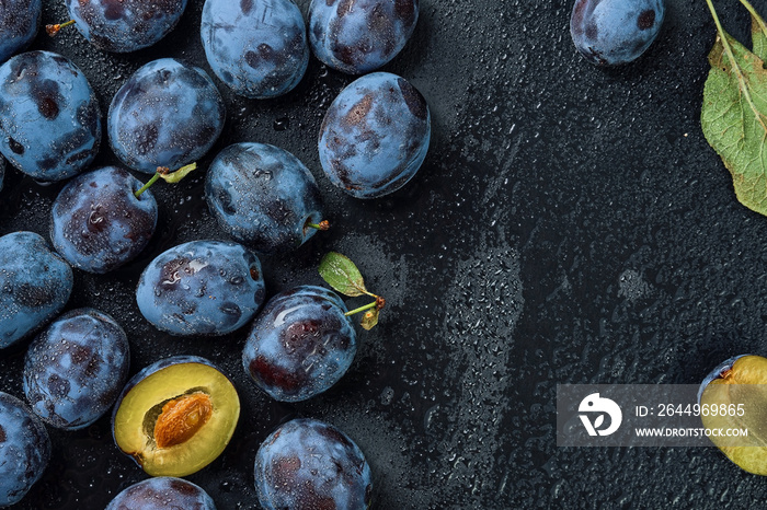 Plums in water drops on the background of a black stone board. Top view with copy space. Beautiful ripe prunes, harvesting fruits in autumn, eco products from the farm