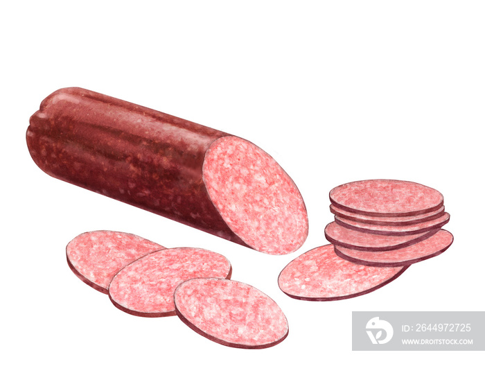 Hand-drawn watercolor sausage illustration, isolated food on the white background. Salami sausage