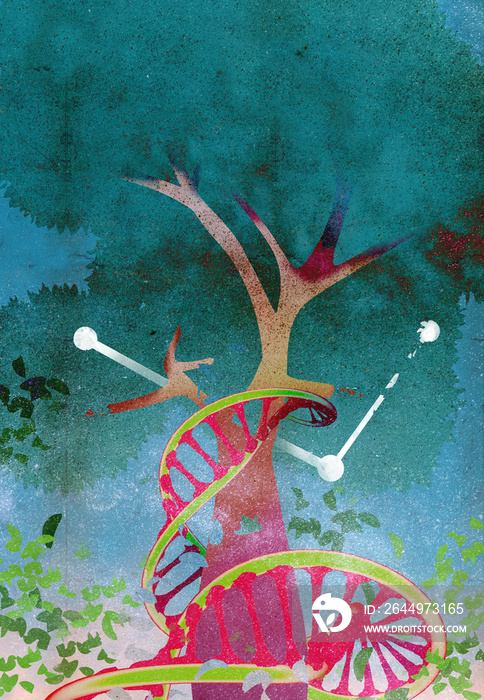 A DNA string growing surronding a tree with a line graph. A DNA string and a tree depicting life, what is inherited, and family business.