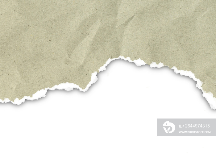 torn paper isolated on transparent background