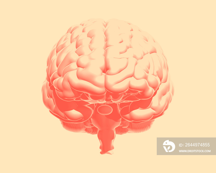 Orange human brain illustration isolated on vanilla BG