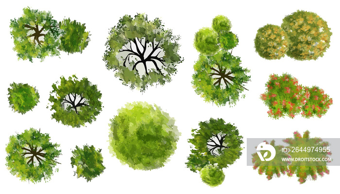 Collection of abstract watercolor green tree top view isolated on white background  for landscape plan and architecture layout drawing, elements for environment and garden.