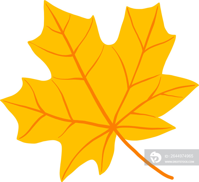 simplicity maple leaf freehand drawing flat design.