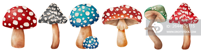 forest mushroom set autumn colorful botanical realistic cute watercolor