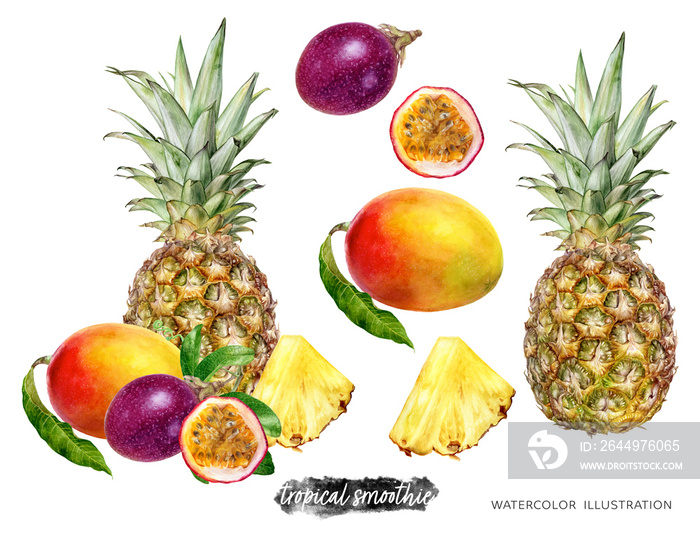 Passion fruit mango pineapple composition watercolor illustration isolated on white background