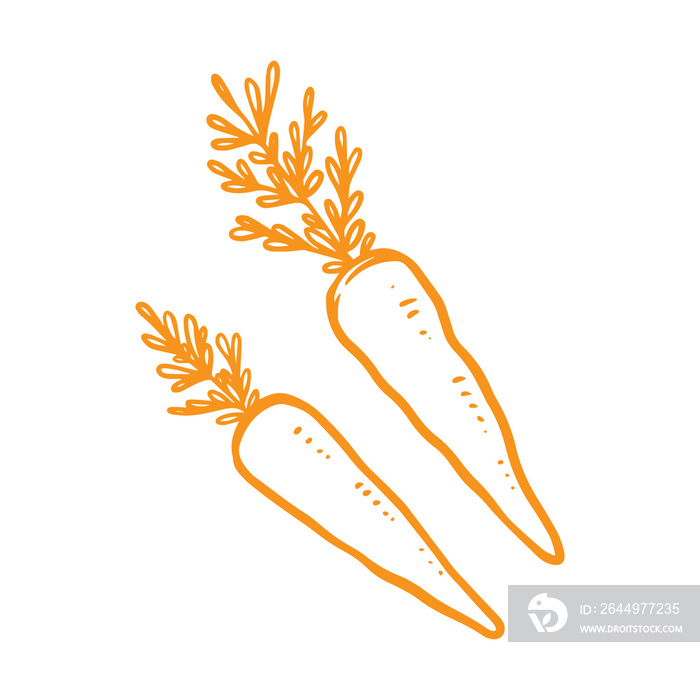 carrot hand drawn illustration for healthy food design element. colorful vegetable and fruit theme