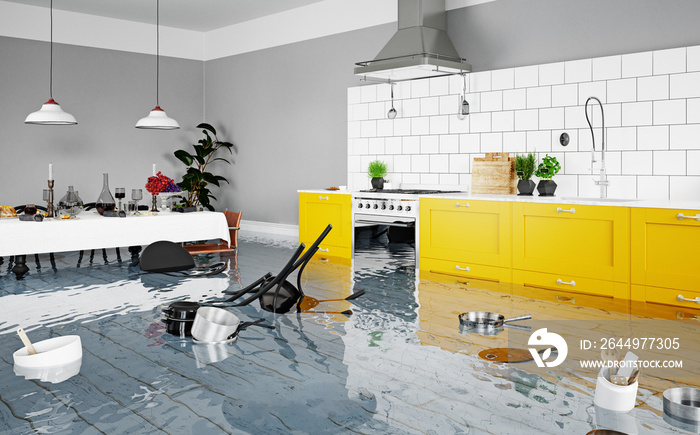flooding kitchen interior.