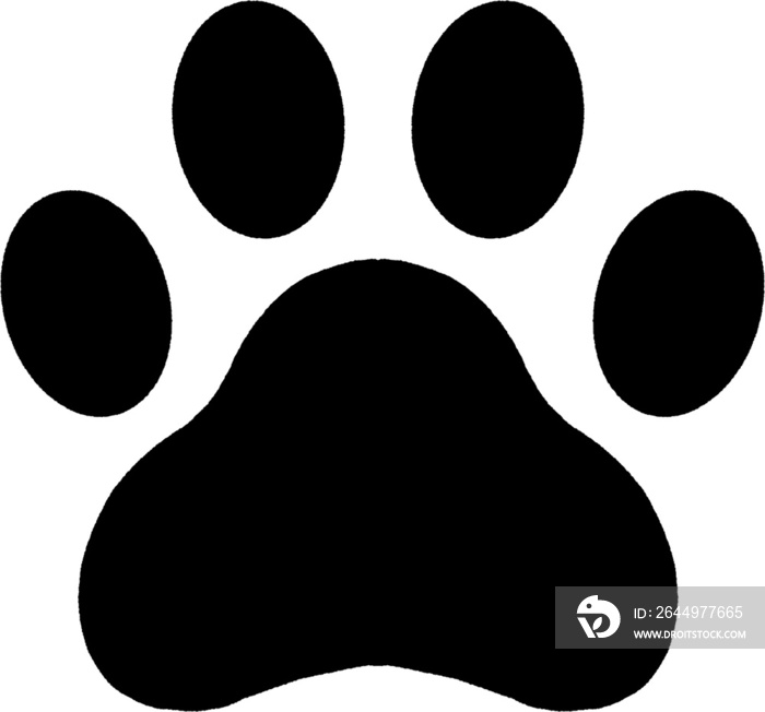 animal’s paw