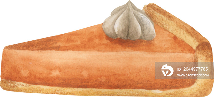 Pumpkin pie slice watercolor illustration