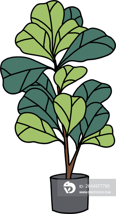 freehand sketch drawing of fiddle leaf fig tree.