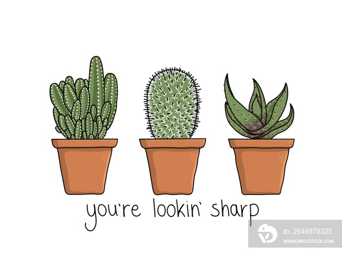 A Trio of Cacti- Cactus Illustration with pun quote