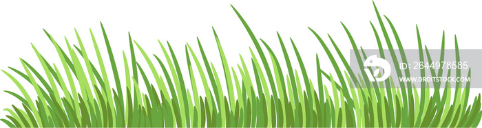 Grass png graphic clipart design