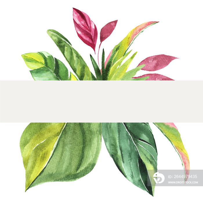 Tropical  with green Watercolor leaves. Hand painted watercolor illustration. Perfect for wedding and ceremony decoration, stationary, greetings cards etc. Place for text.