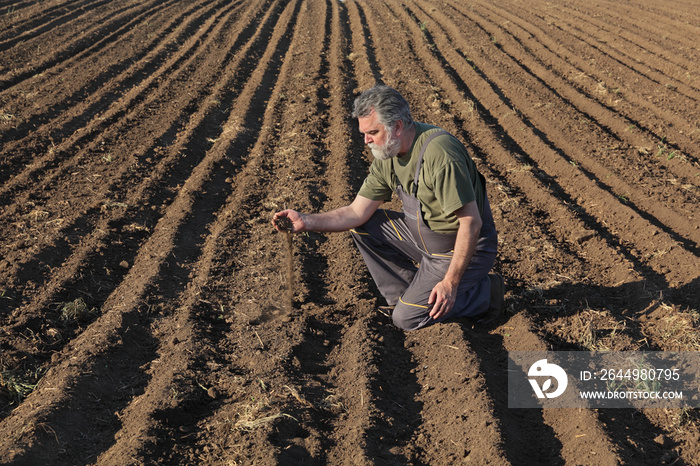 Agriculture, farmer or agronomist examining quality of soil in field, and pouring it from hand