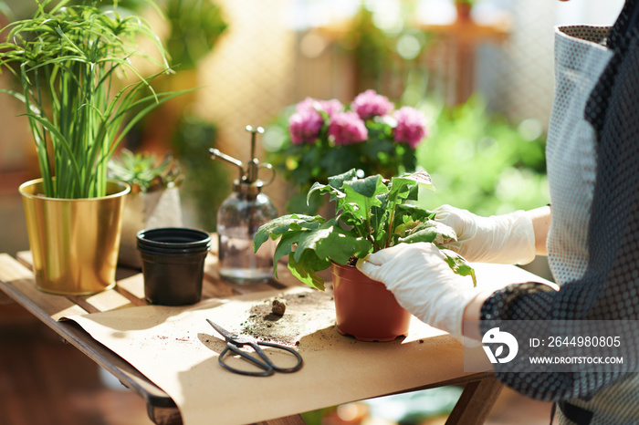 Woman in rubber gloves at home in sunny day do gardening