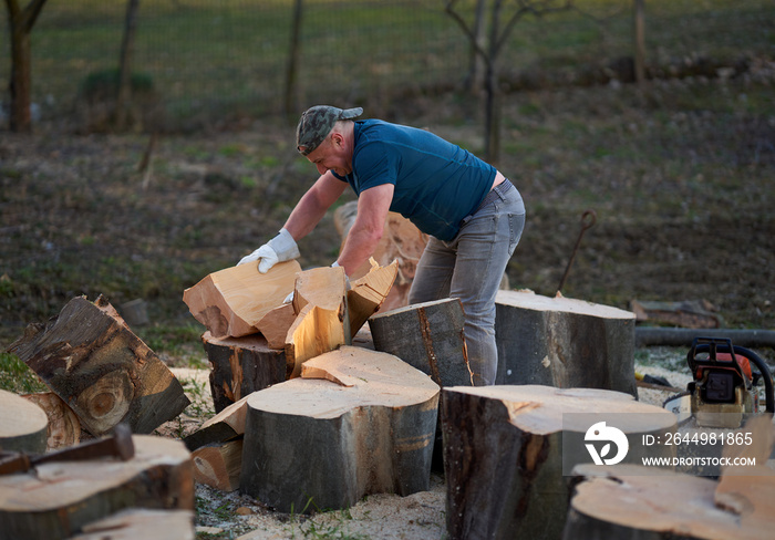 Strong woodman splitting logs