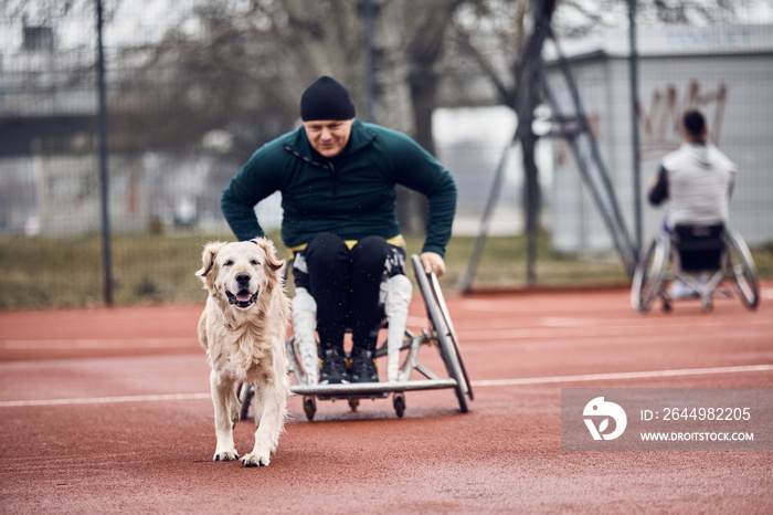 Assistance dog and his wheelchair-bound owner have fun on outdoor basketball court.