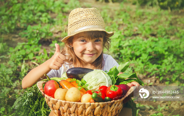 A child in the vegetable garden. Selective focus.