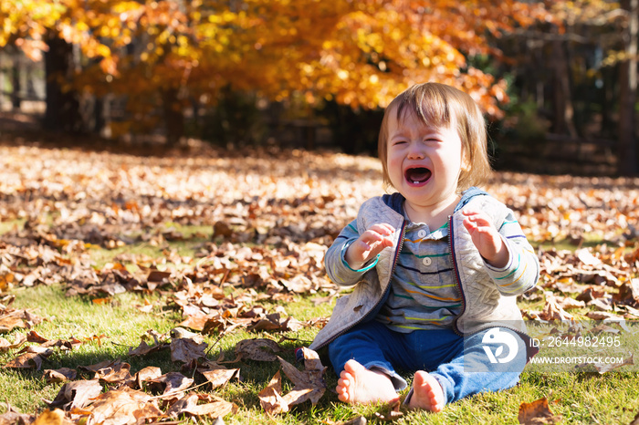 Toddler boy crying outside on an autumn day