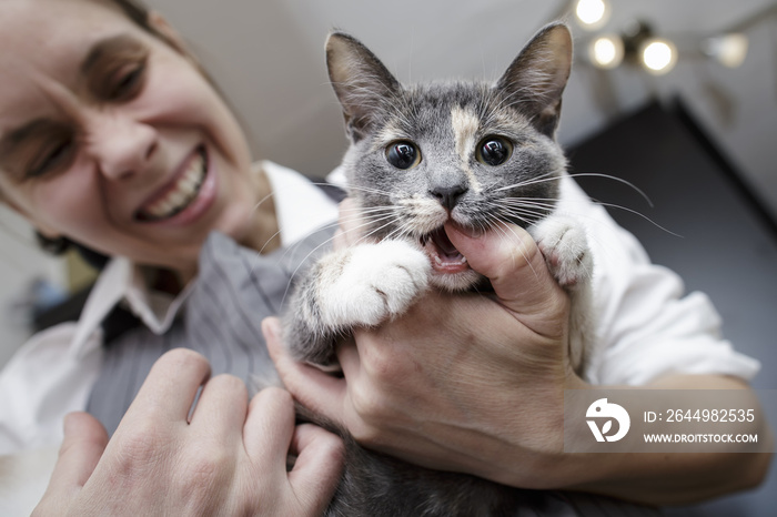 funny angry kitty biting the finger of a woman who screams and winces in pain