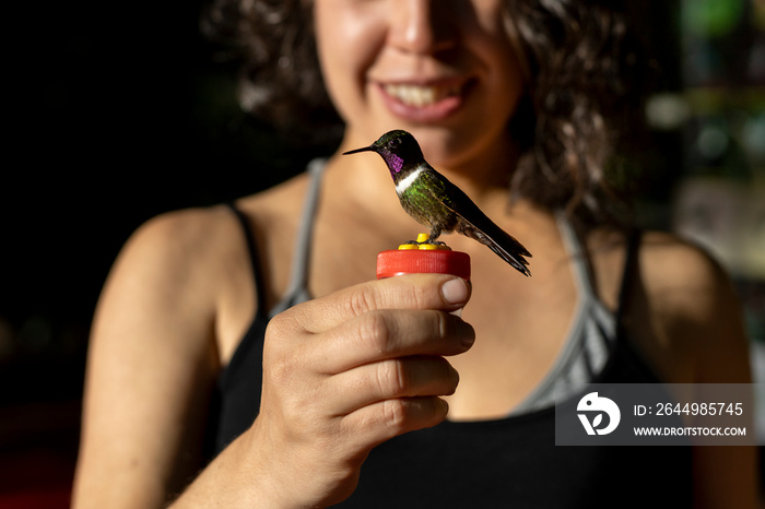 Latin American woman (38) holds a hummingbird feeder in her hands as she feeds on food specially prepared for the bird. Selective focus on the hummingbird. Concept of interaction with nature