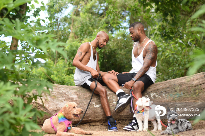 USA, Louisiana, Gay couple with dogs sitting on log in forest