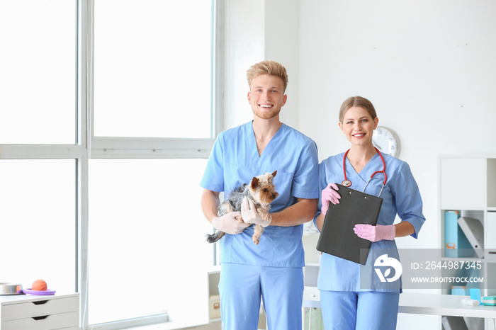 Veterinarians with cute dog in clinic