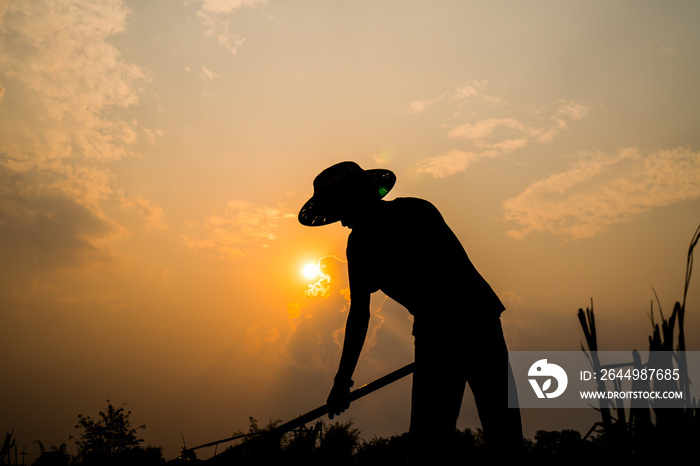 Agriculture farmer life Concept : Black silhouette of a worker or gardener holding spade is digging soil at sunset light