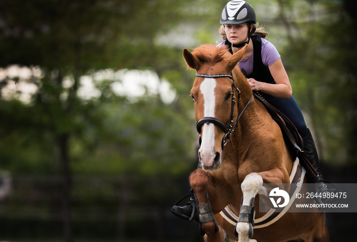 Young pretty girl riding a horse