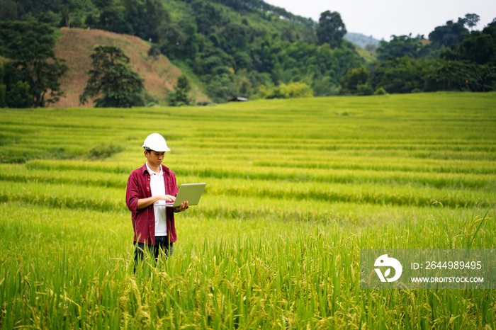 Asian man Agricultural Engineer Test Plants Health and Analyze Data with Tablet laptop in Industrial Greenhouse.Farmer Plantation checking quality by digital agriculture modern technology Concept.