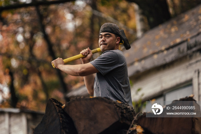 Mid adult man chopping logs in autumn forest, Upstate New York, USA