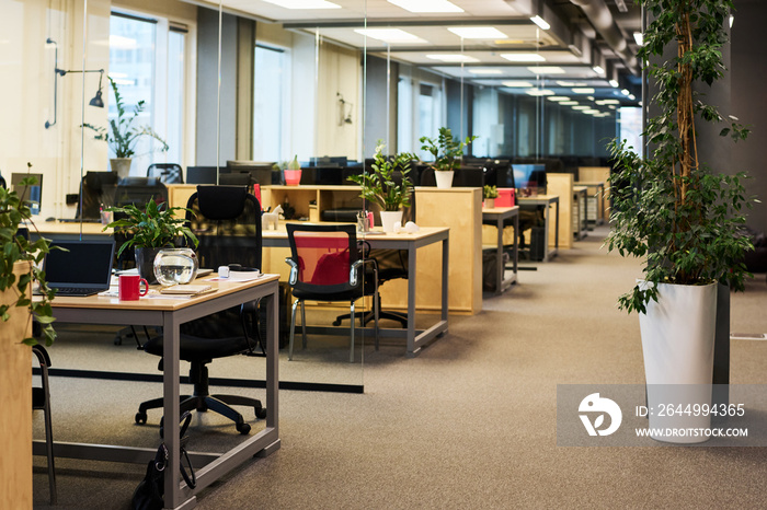 Spacious office with large number of green plants growing in flowerpots and on desks with armchairs serving as workplaces of employees