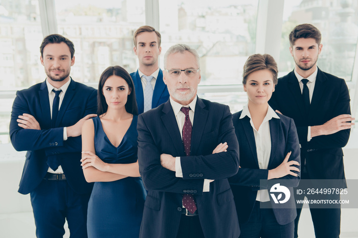 Group of six confident serious business people standing together