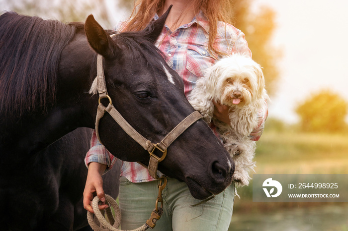 young woman with her horse and her little dog