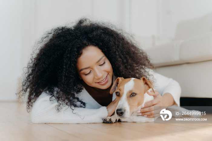 Relaxed Afro woman with crisp dark hair lies on floor, plays with cute puppy, has fun with jack russell terrier dog wears white sweater being in living room. Happy owner petting lovely domestic animal