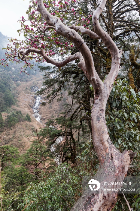 中国西南部山区风光