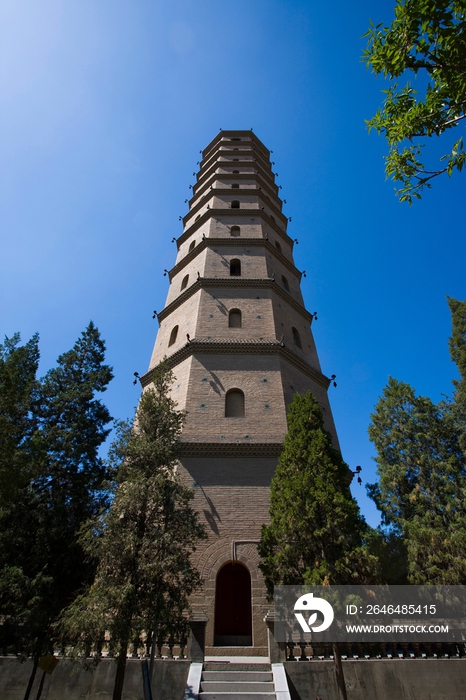 宁夏 银川 承天寺塔