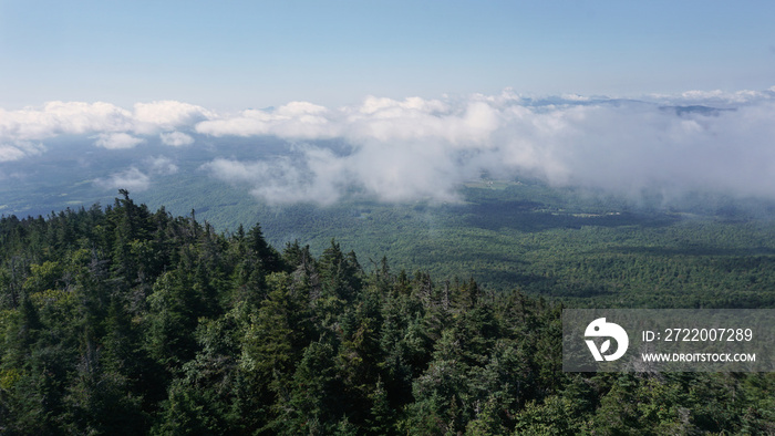 A scenic view of the Green Mountains from the Long Trail in Vermont.