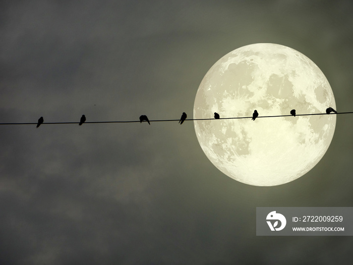 电线上挂着鸟的剪影，超级满月