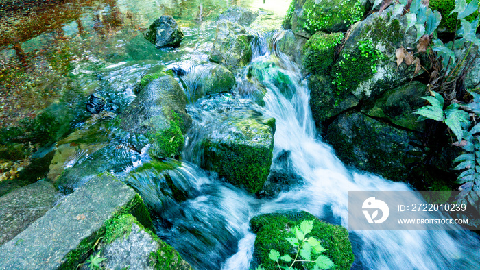 別府弁天池湧水 山口県美祢市秋芳町