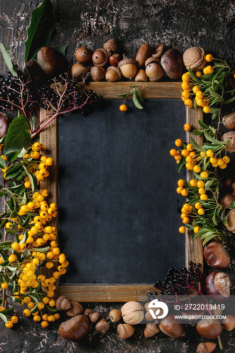 Frame from autumn berries, leaves and nuts with empty vintage chalkboard over brown concrete backgro