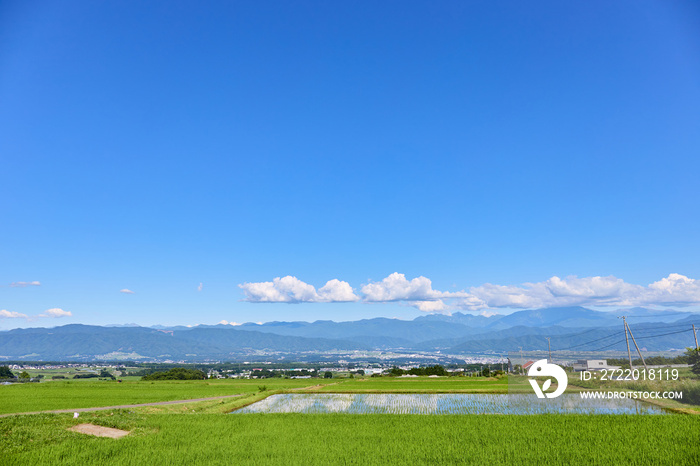 7月半ば（夏）、権兵衛トンネル入り口の数キロ手前から南アルプス方面を望む 長野県伊那市