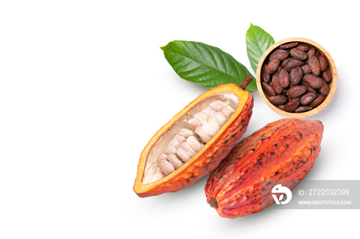 cocoa beans and cacao fruit on white