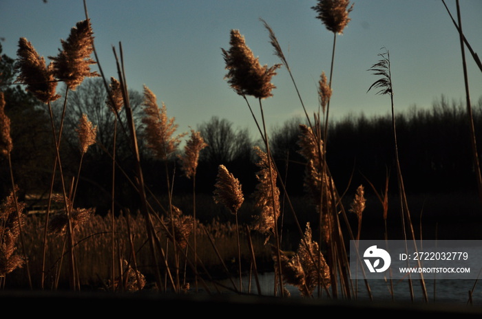 The Sun Setting over the Maryland Eastern Shores - Sunset in December