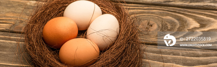 fresh chicken eggs in nest on wooden surface, panoramic shot