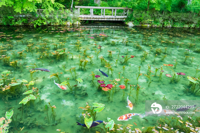 岐阜県関市根道神社の名もなき池　通称モネの池