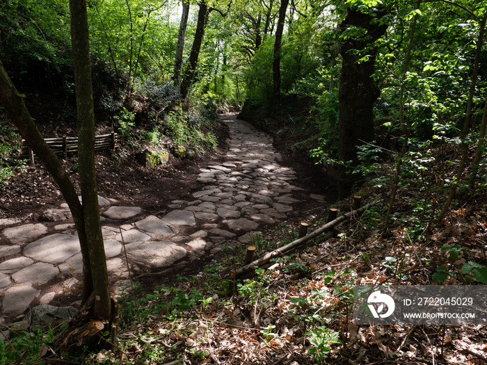 Immersa nel verde del  bosco, antica strada romana sul Monte Tuscolo, dove sorgeva lomonima città.