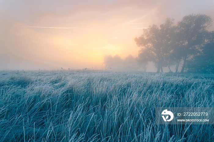 Beautiful autumn sunrise over cold foggy meadow. Textured grass foreground with hoar frost. October 